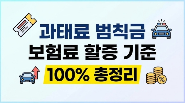 과태료 범칙금 보험료 할증 기준 금액 100% 정리