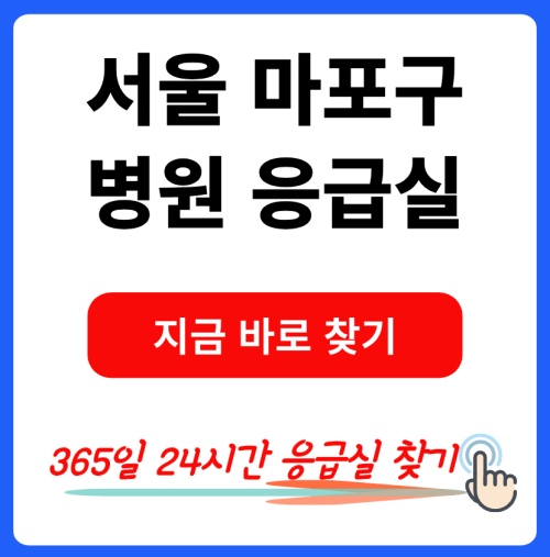 서울 마포구 24시간 진료