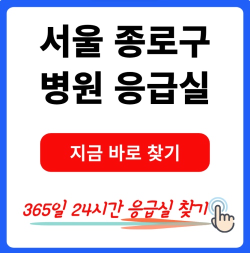 서울 종로구 24시간 진료