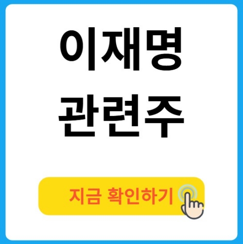 이재명 관련주