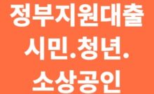 정부지원대출