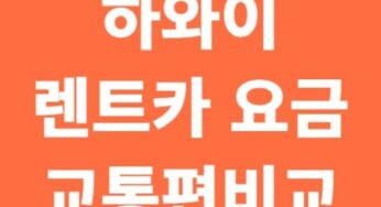 하와이 렌트카 요금 vs 교통편 비교 (최신 실시간 정보 업데이트)