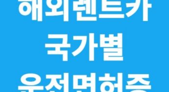 해외 렌트카 완전정복! 국가별 운전면허 인정 100% 총정리