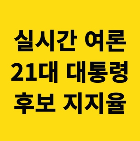 대통령 후보 지지율 여론 조사