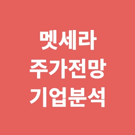 멧세라 주가전망과 기업분석