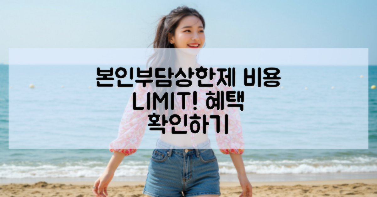 본인부담상한제 개요