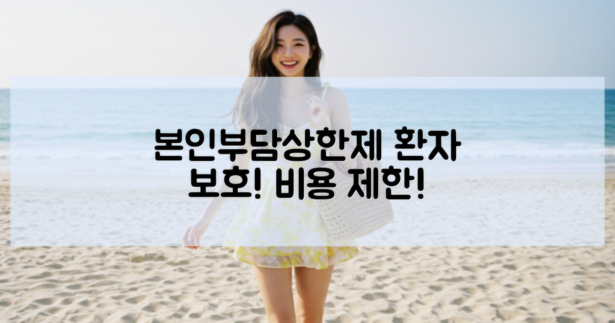 본인부담상한제란 무엇인가