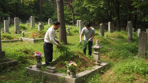 농협 벌초대행 서비스 이용