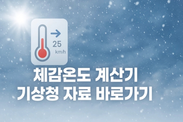 체감온도 계산기 기상청 자료 바로가기 - THE 지식