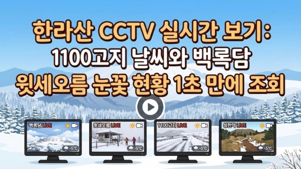 한라산 CCTV 실시간 보기