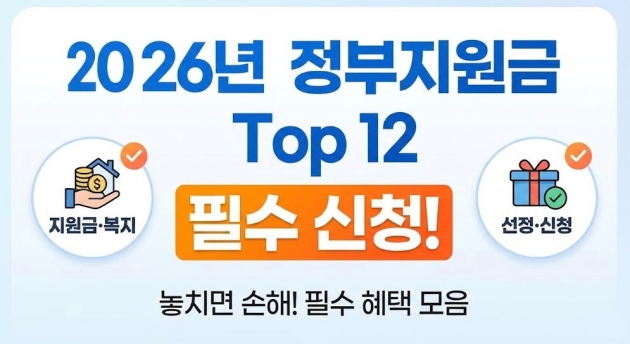 2026년 정부지원금 필수 신청 Top 12