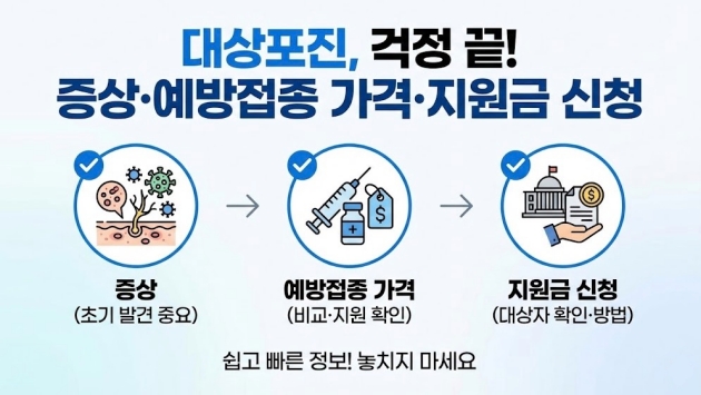 대상포진 증상과 예방접종 가격 및 지원금 신청