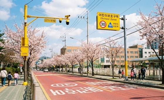어린이보호구역 표지판과 단속 카메라가 설치된 스쿨존 도로 전경
